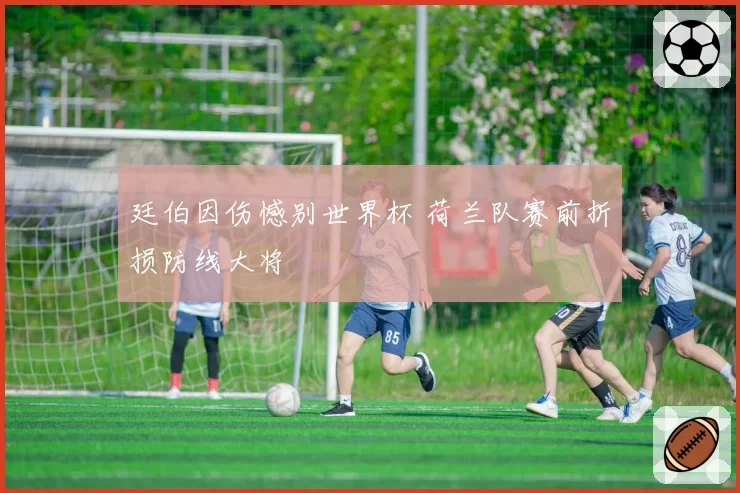 廷伯因伤憾别世界杯 荷兰队赛前折损防线大将