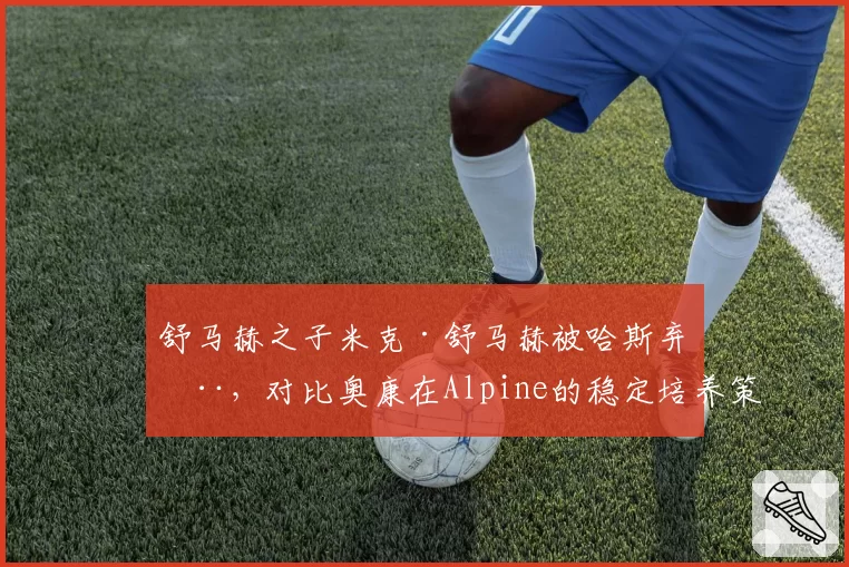 舒马赫之子米克·舒马赫被哈斯弃用,对比奥康在Alpine的稳定培养策略