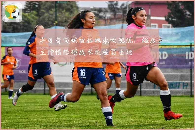 字母哥突破被拉拽未吹犯规，雄鹿主帅愤怒砸战术板被罚出场